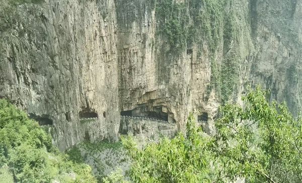图片5